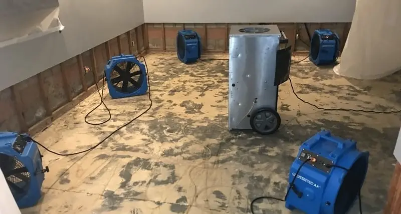 Structural Drying: What It Is and Why It Matters - Education guide by 2 Brothers Restoration Fort Worth